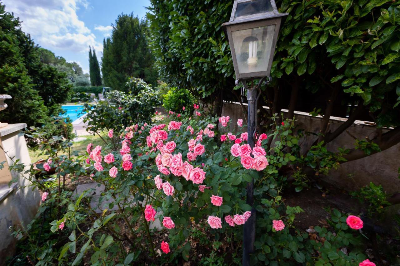 Appartamento Villa Matone Grottaferrata Zewnętrze zdjęcie